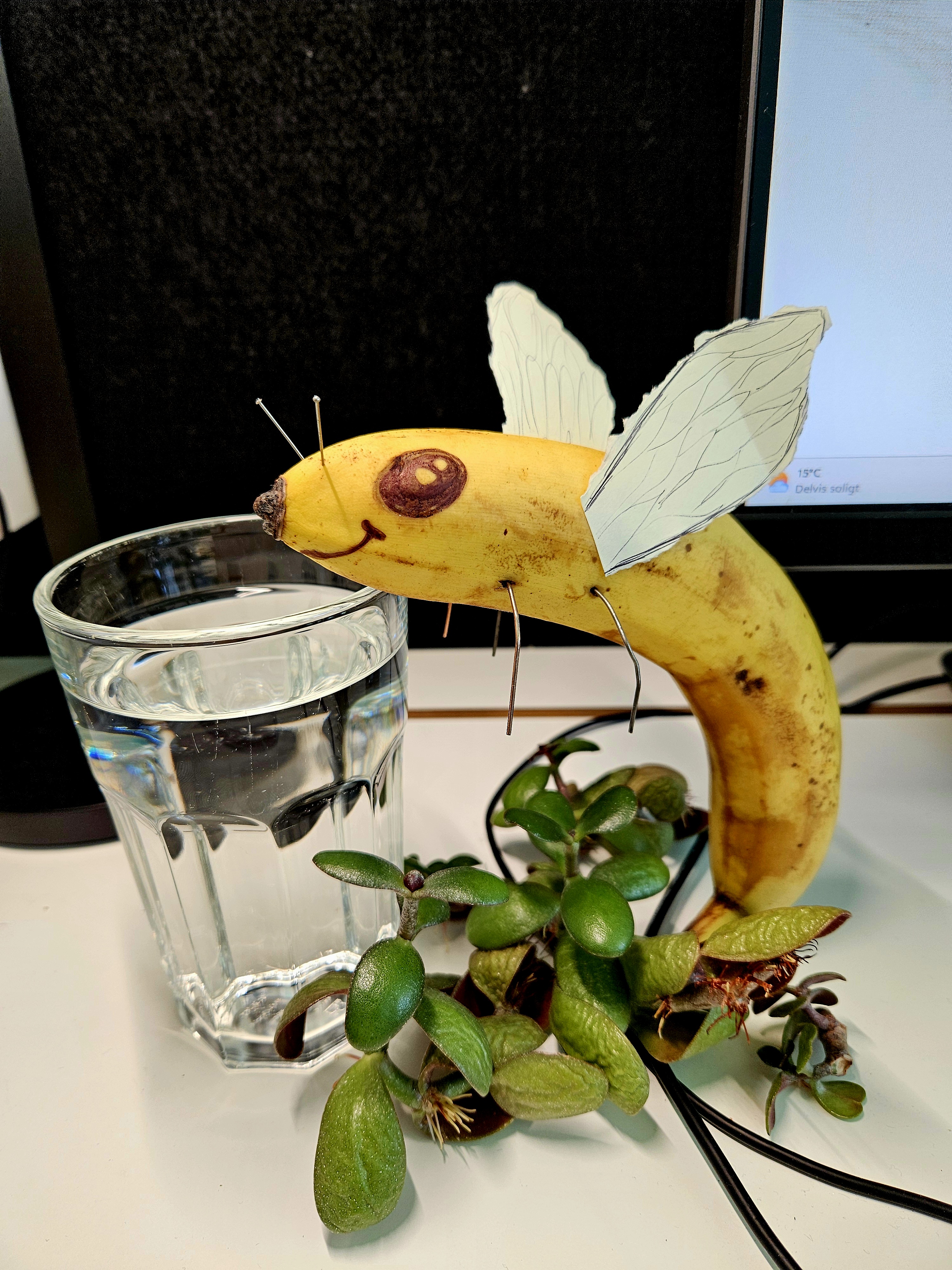Bidragsfoto av Ella Möller